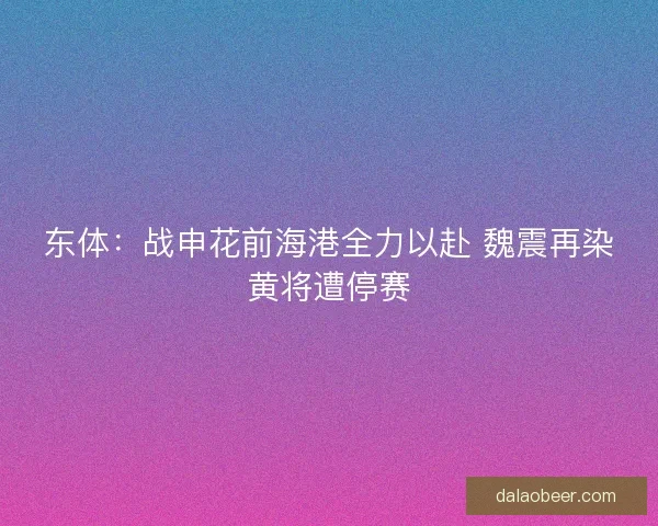 东体：战申花前海港全力以赴 魏震再染黄将遭停赛